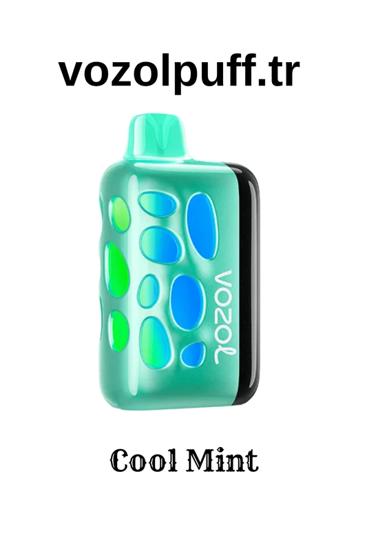 Cool Mint - Rave 40000 Vozol Puff
