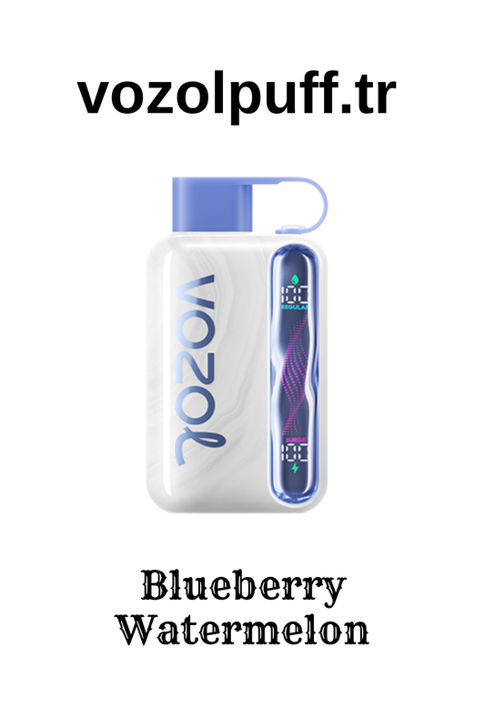 Blueberry Watermelon - Star 40000 Vozol Puff