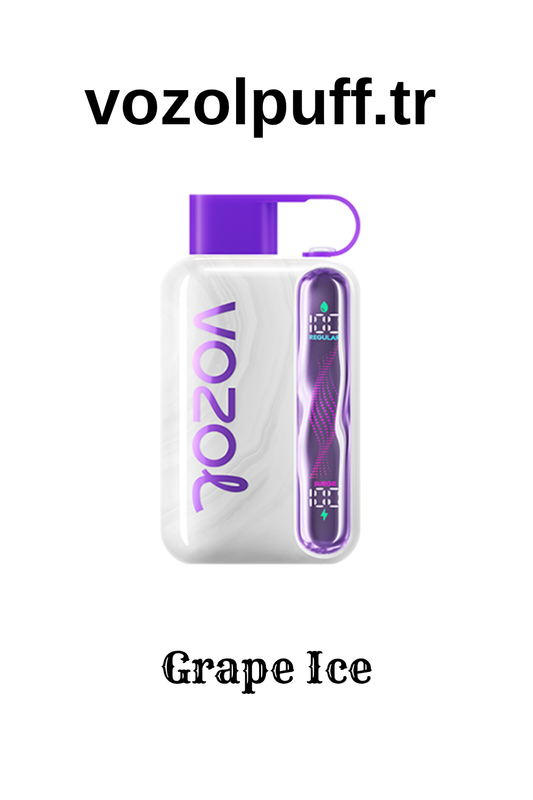 Grape Ice - Star 40000 Vozol Puff