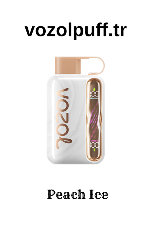 Peach Ice - Star 40000 Vozol Puff