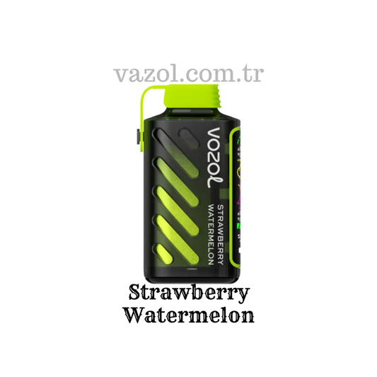 Strawberry Watermelon - Gear 20000 Vozol Puff