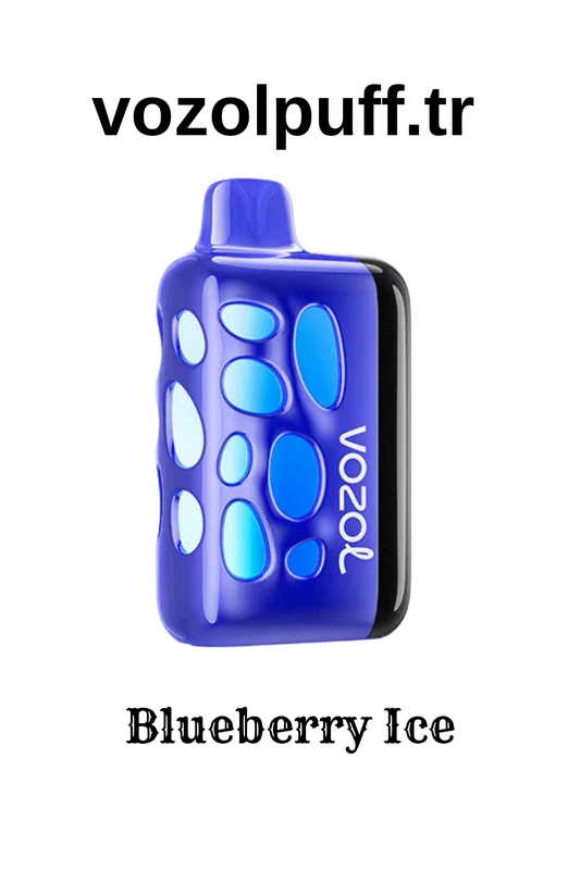 Vozol Rave 40000 Blueberry Ice