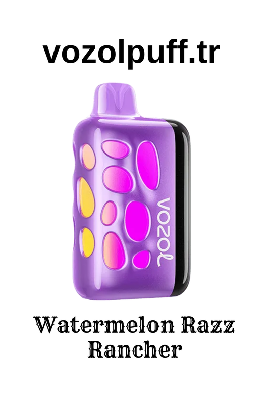 Watermelon Razz Rancher - Rave 40000 Vozol Puff